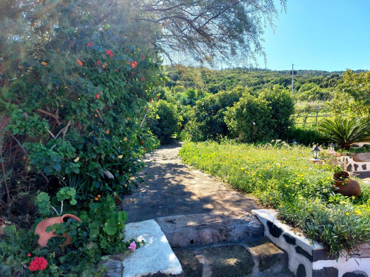 El Jaral Βίλα Garafía Εξωτερικό φωτογραφία